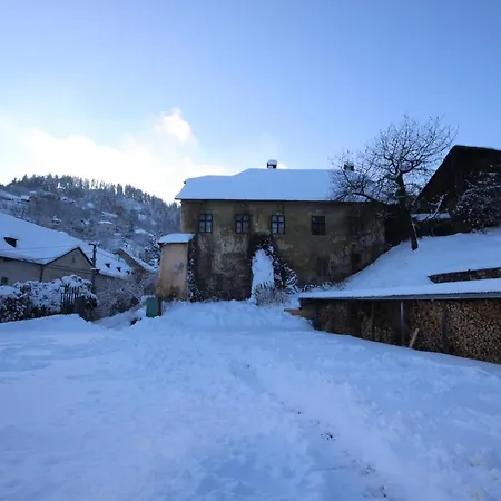 Skautsky Dom ホステル